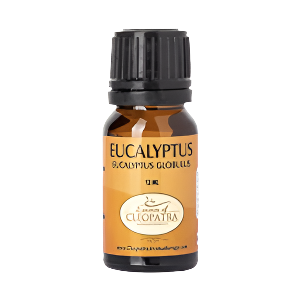 EUCALYPTUS (Organic) 12 ML