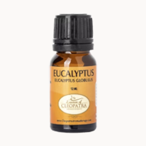 EUCALYPTUS (Organic) 12 ML