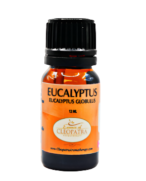 EUCALYPTUS ESSENTIAL OIL ( Organic ) 12 ml