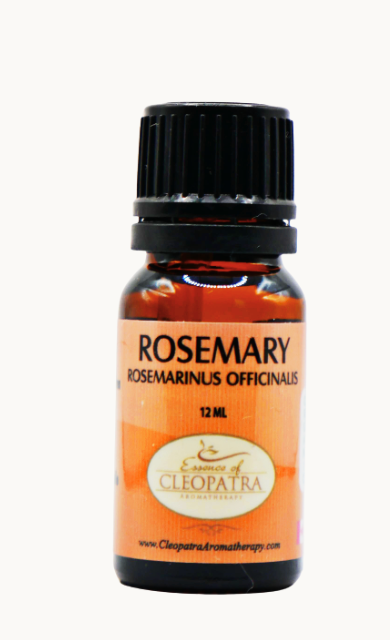 Rosemary Essential Oil 12 ml