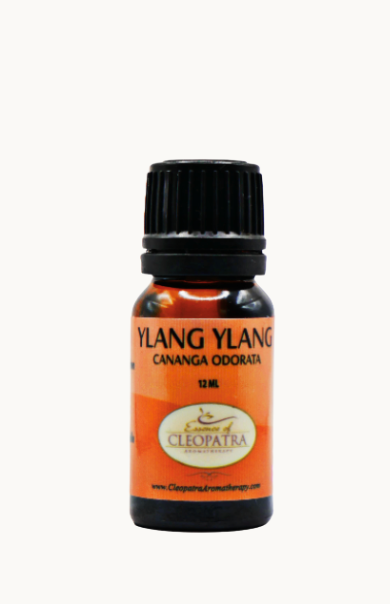 YLANG YLANG