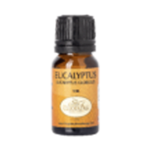 EUCALYPTUS (Organic) essential oil 10ml.